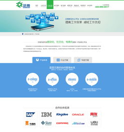 軟件科技類企業營銷型官網建設