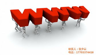 滄州市天助人和銷售張紹云 南環網絡建設網站優化 網絡建設