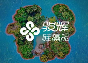 一諾建站公司 專業手機微網站建設與SEO優化推廣服務